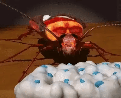 Gel EXTERMINADOR de Cucarachas (HASTA 8 MESES SIN CUCARACHAS)